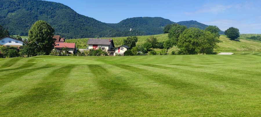Pogled na green z zastavico 2. luknje