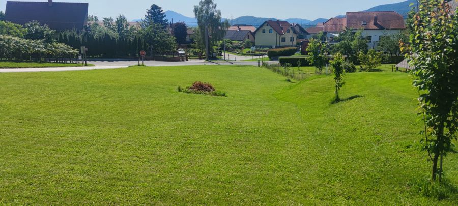 Sadno drevje na spodnji parceli