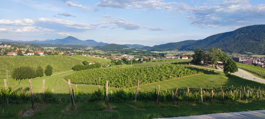 Pogled na hišo in hlev z vrha Škalc