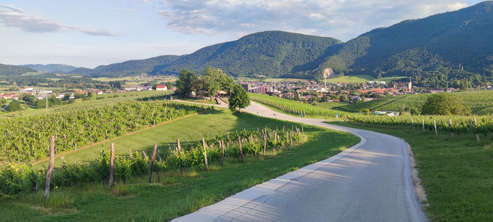 Škalce